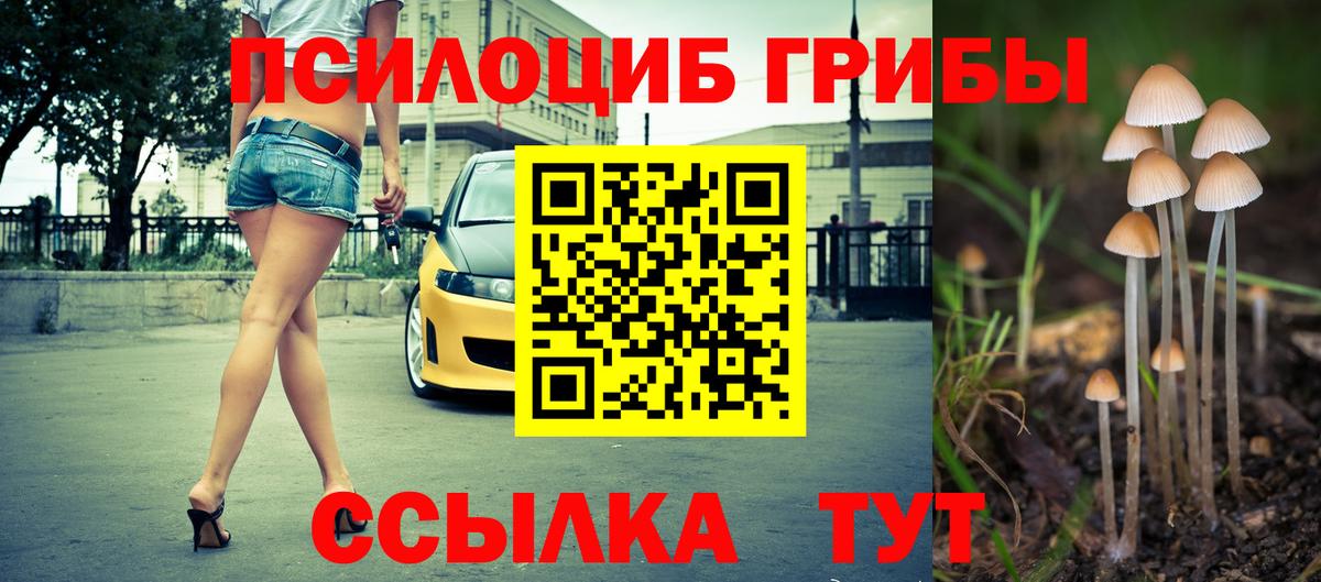 Галлюциногенные грибы Psilocybine cubensis  Вход с VPN  Будённовск 